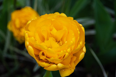 Similar image 21793963