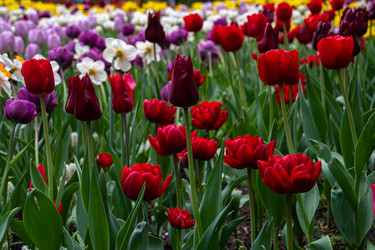 Similar image 21793964