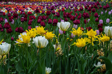 Similar image 21793967