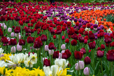 Similar image 21793968