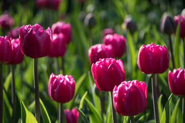 Similar image 21793972