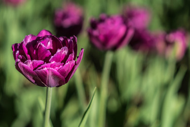 Similar image 21793976