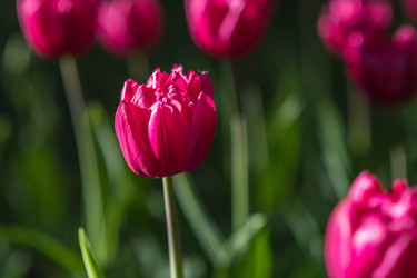 Similar image 21793977