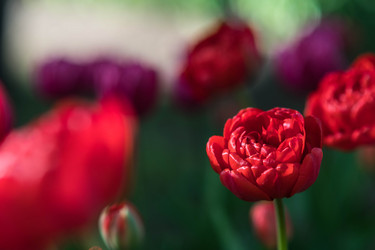 Similar image 21793978