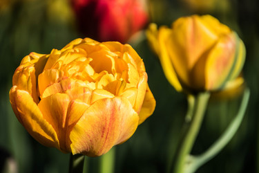 Similar image 21793979