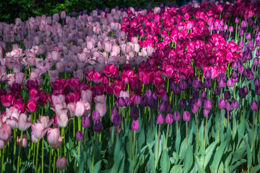 Similar image 21793980