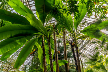 Similar image 21793981