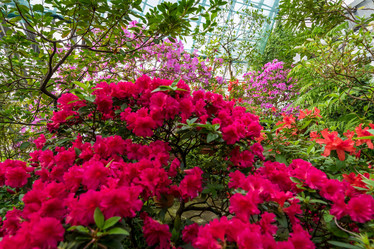 Similar image 21793982