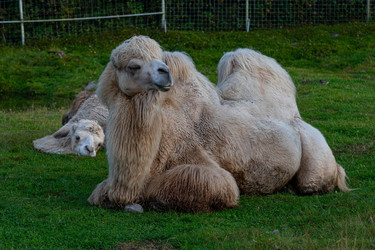 Similar image 21793659