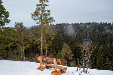 Similar image 21793662