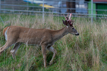 Similar image 21793669