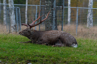 Similar image 21793671