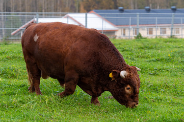 Similar image 21793672