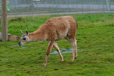 Similar image 21793989