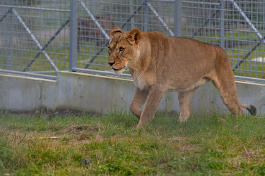 Similar image 21793993