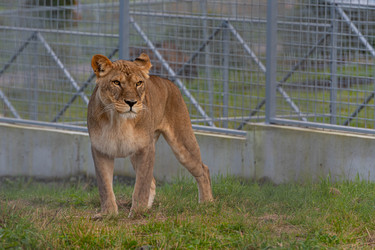 Similar image 21793994