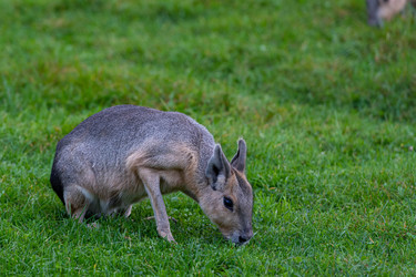 Similar image 21793998