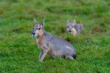 Similar image 21793999