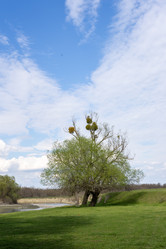 Similar image 21793424