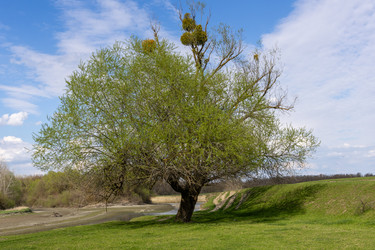 Similar image 21793426