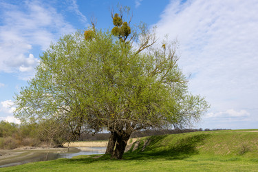 Similar image 21793427