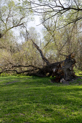 Similar image 21793429