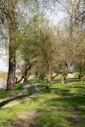 Similar image 21793430