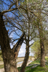 Similar image 21793431