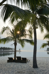 Similar image 21793433