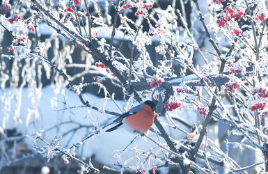 Similar image 21793434