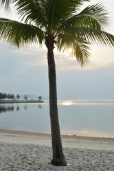 Similar image 21793436