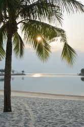 Similar image 21793437