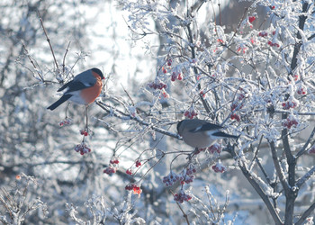 Similar image 21793441