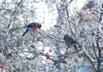 Similar image 21793442