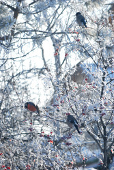 Similar image 21793447