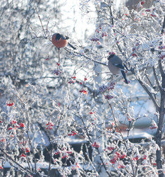 Similar image 21793449