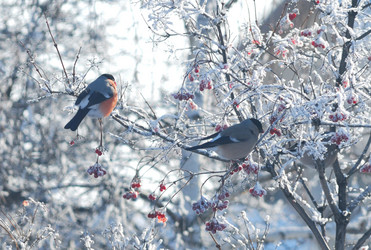 Similar image 21793450