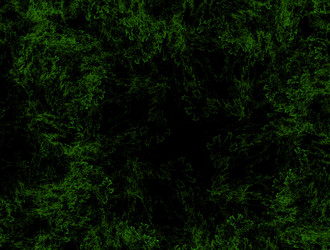 Similar image 21803981