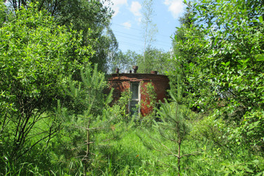 Similar image 21793457