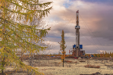 Similar image 21793673