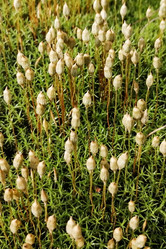 Similar image 21793697