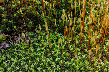 Similar image 21793698