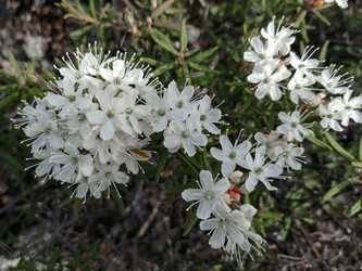 Similar image 21793700