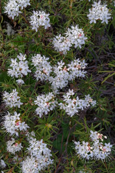 Similar image 21793701