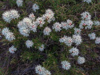 Similar image 21793702