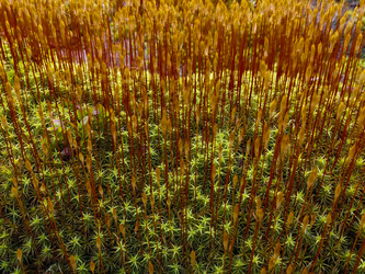 Similar image 21793703