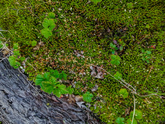 Similar image 21793704