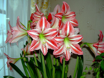 Similar image 21793710