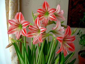 Similar image 21793713