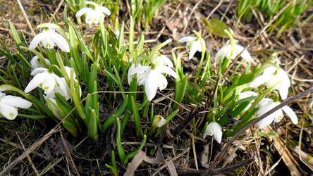 Similar image 21793714